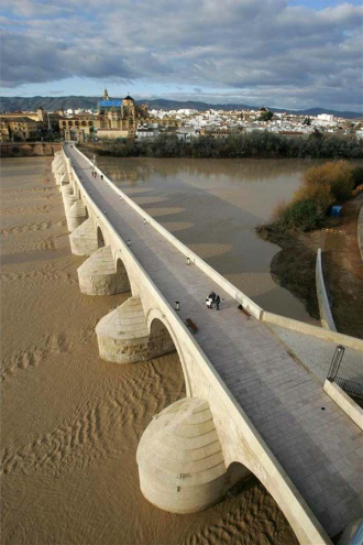 Ширина «полезной» части моста — 7 метров