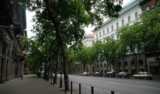 Открытие улицы приурочили к большому нац