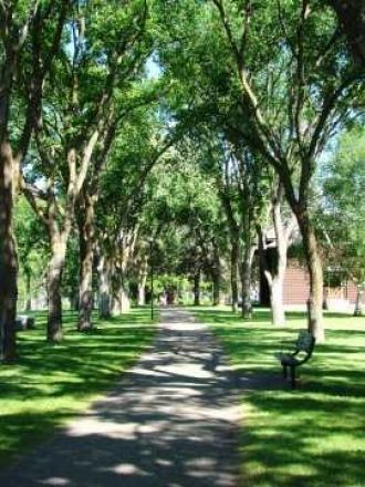 В северных частях парка растут бореальны