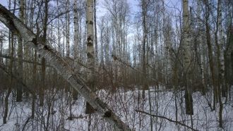 Национальный парк разместился на прериях