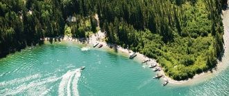 Опасность кроется в диких животных‚ кото