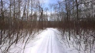 Национальный Парк Райдинг-Маунтин зимой 