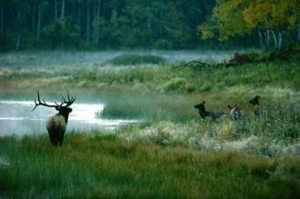 Запад занят бескрайними полями и топкими