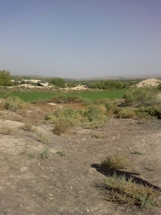 Дворец правителя находился на высоком, г