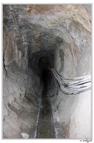 В полный рост можно идти только первые 7