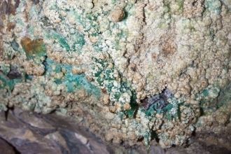 Соляные капли на потолке.