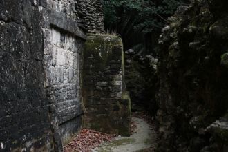 Бывший город майя был заселен около 200 