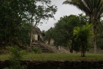 Из перекрывающих строений лучше всего ис