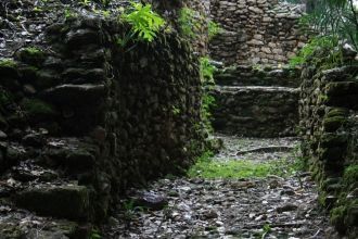 «Кохун» (Cohoon, или Cohune) – это назва