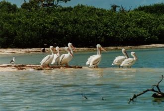 «Место, где начинается небо» или «Подаро