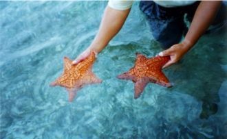 Заповедник занимает почти треть Карибско