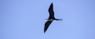 Заболоченные территории служат важным ме