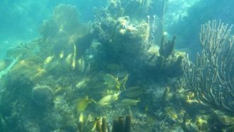 В заповедник можно попасть из пяти точек