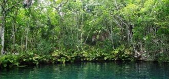 Это настоящее путешествие в мир экзотиче