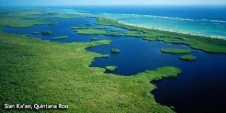 Фауна заповедника чрезвычайно разнообраз