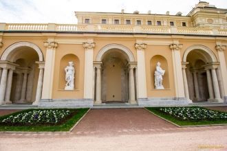 Разрушительную и беспощадную революцию К