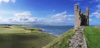 Была возведена дополнительная стена, кот