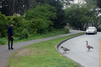 Парк Золотые ворота - в парке созданы вс