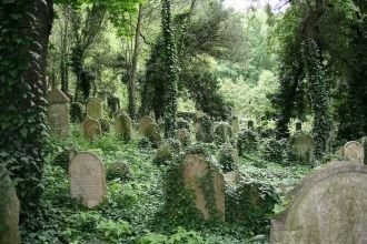 Издавна евреи называли свое кладбище сад