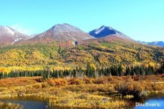 В 1979 году большая значимость сохраннос