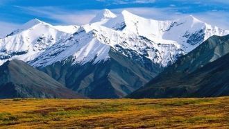 Парк действует не так долго - он был осн