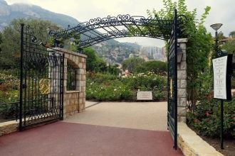 В саду оборудованы две перголы с плетист