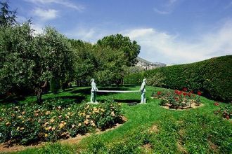 В розарии можно увидеть более пяти тысяч