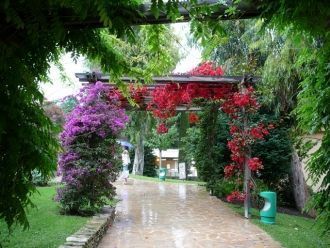 Розарий принцессы Грэйс