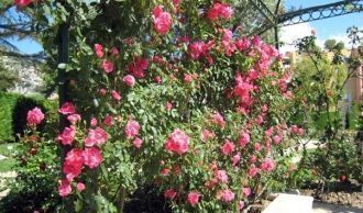 Грейс Келли встретилась с князем Монако 