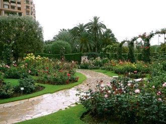 Безусловно, главной розой в саду являетс