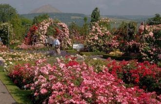Своей популярностью сад обязан природным