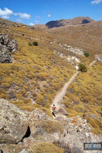 Окаменелый лес находится в ведении распо
