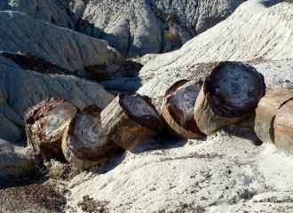 В данном районе есть четыре места, знаме