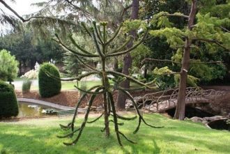 Парк (Йылдыз Паркы), на территории котор