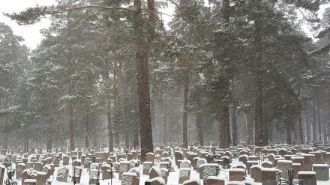 Это одно из самых крупных кладбищ с мест