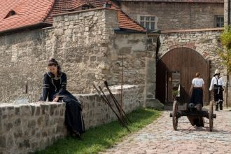 Фрайбург, замок Нойенбург. Рыцарский фес