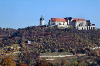 Согласно постановлениям Венского конгрес