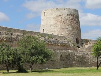 Особого внимания заслуживает самая высок