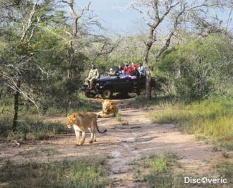 Национальный парк Эддо-Элефант. Национал