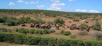 Национальный парк Эддо – Элефант это пре