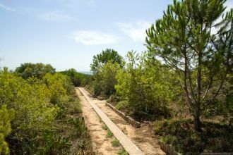 Дорожка к морю.