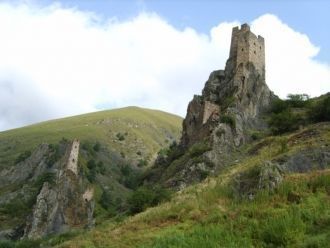 Вовнушки служили убежищем и защитой для 