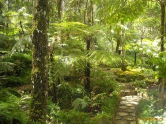 Ботанический сад Хакгала