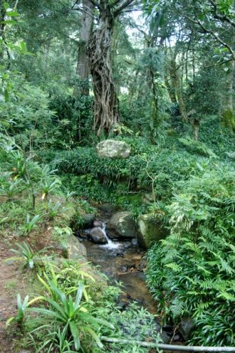 На границе сада расположился заповедник 
