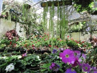 Основные посетители сада - школьники и и