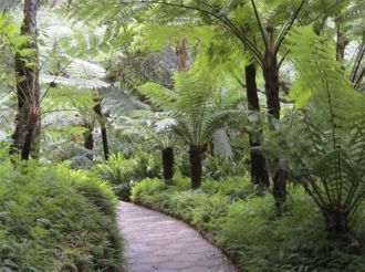 Сад расположен на высоте 1707 м над уров