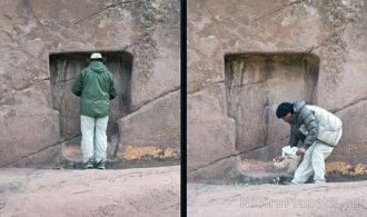 Именно они рассказали исследователям мно