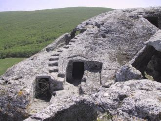 Расцвет жизни на плато приходится на X-X