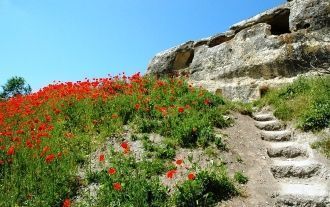 По остаткам укреплений довольно полно во