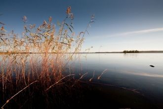 На территории парка встречается около пя